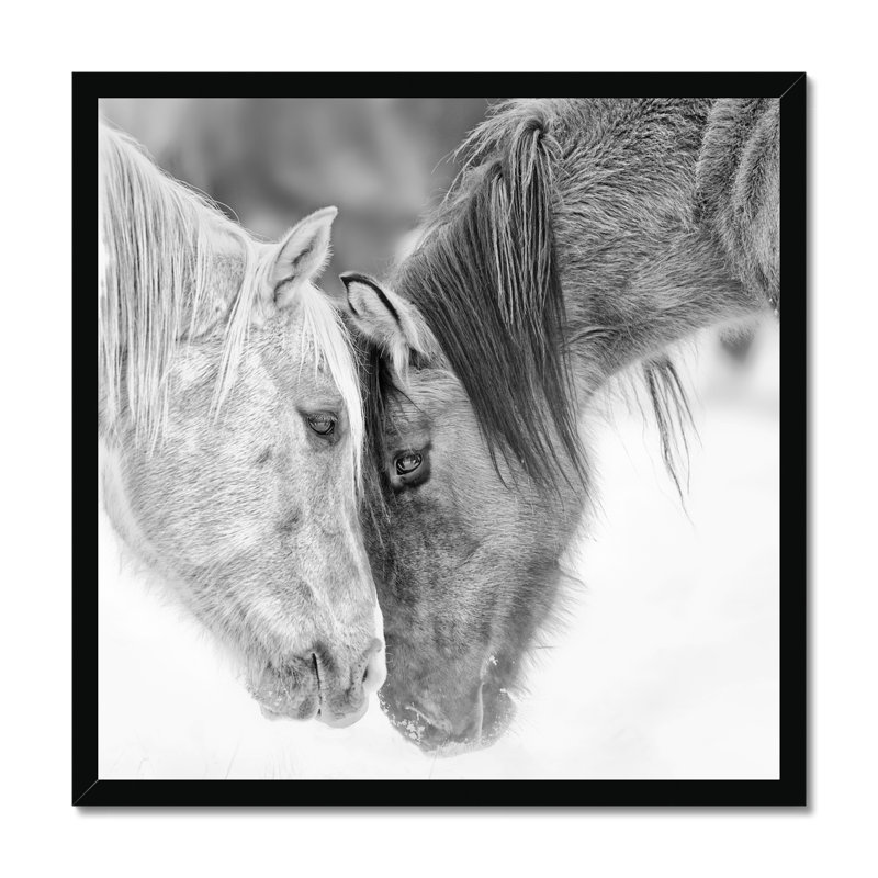 B&W Horses VII by PHBurchett - Print, 55cm H x 55cm W, Black Framed Paper Print