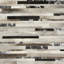 Trail Geometric Area Rug in Brown/Silver/Ivory-830819243