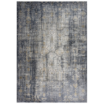 Jonason Oriental Indoor Rug