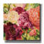 «Buckeye Belle» par Katrina Pete, art mural sur toile, 12 po x 12 po-22555774