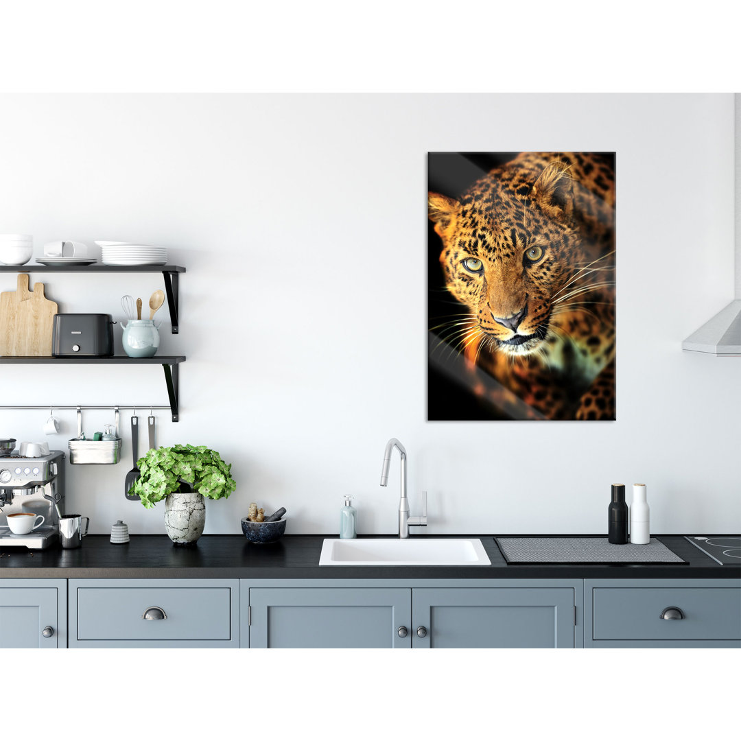 Glasbild Anmutiger Leopard