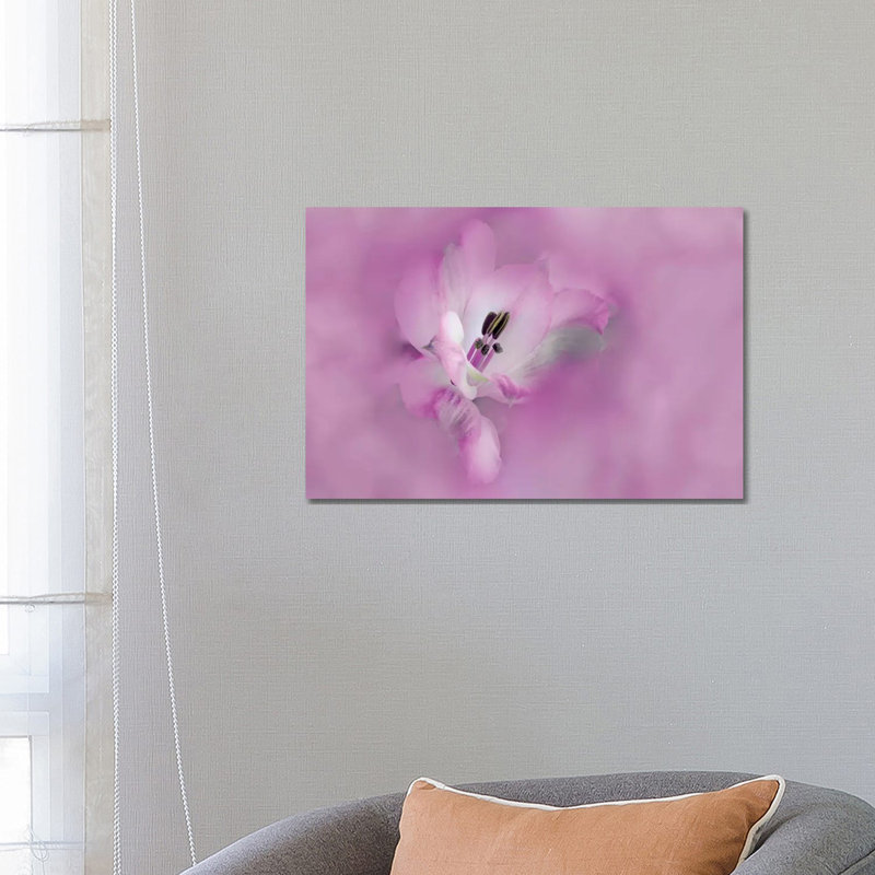 Usa, California. Close-Up Of Alstroemeria Flower. by Jaynes Gallery - Wrapped Canvas Print, 45.72cm H x 66.04cm W x 1.905cm D