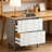 2-Drawer File Cabinet,Ample Storage Cabinet