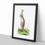 Great Kangaroo by George Shaw - Framed Print-55620757-55620760