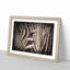 Eye of the Zebra in Abstract - Picture Frame Graphic Art Print-55726332-55726337