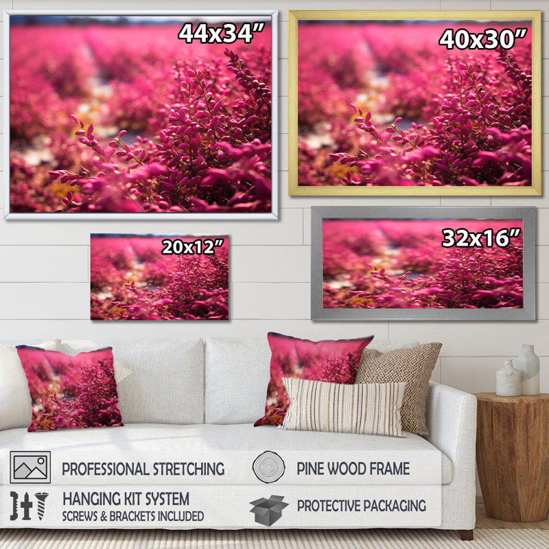 «Fushia Blooming Abstraction I», reproduction sur toile, Cadre simple noir, H 12 po x l 20 po x P 1 po