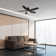 Aphsana 48'' Ceiling Fan with LED Lights