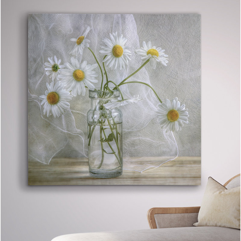Marguerites - reproduction de photo, H 40 po x l 40 po, Toile tendue, Sans cadre