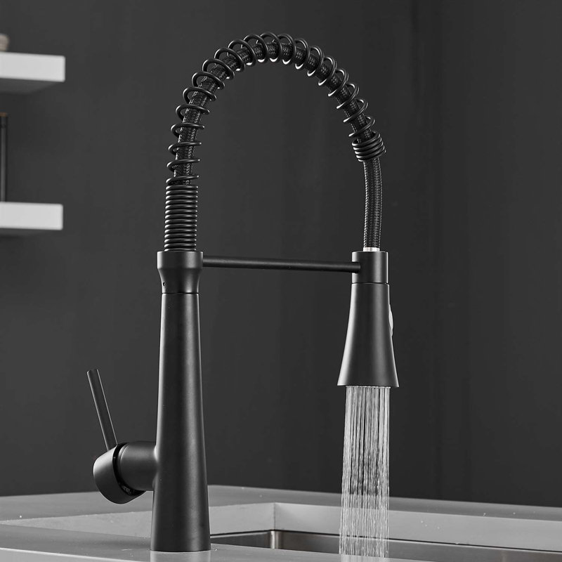 Robinet de cuisine à poignée simple, Noir