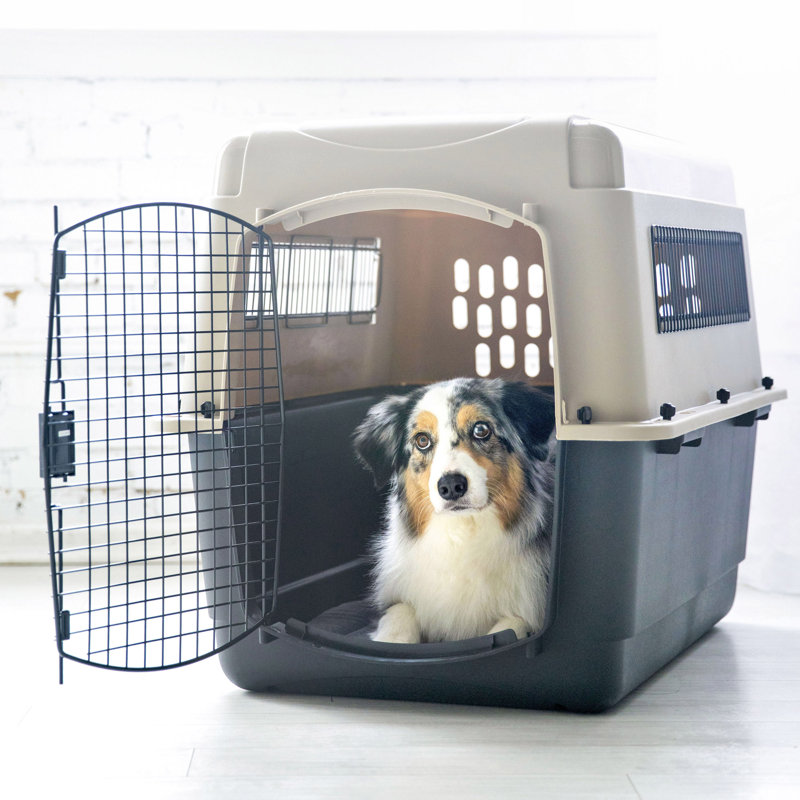 Plastic Pet Carrier with 1 Door, 27" H x 25" W x 36" D