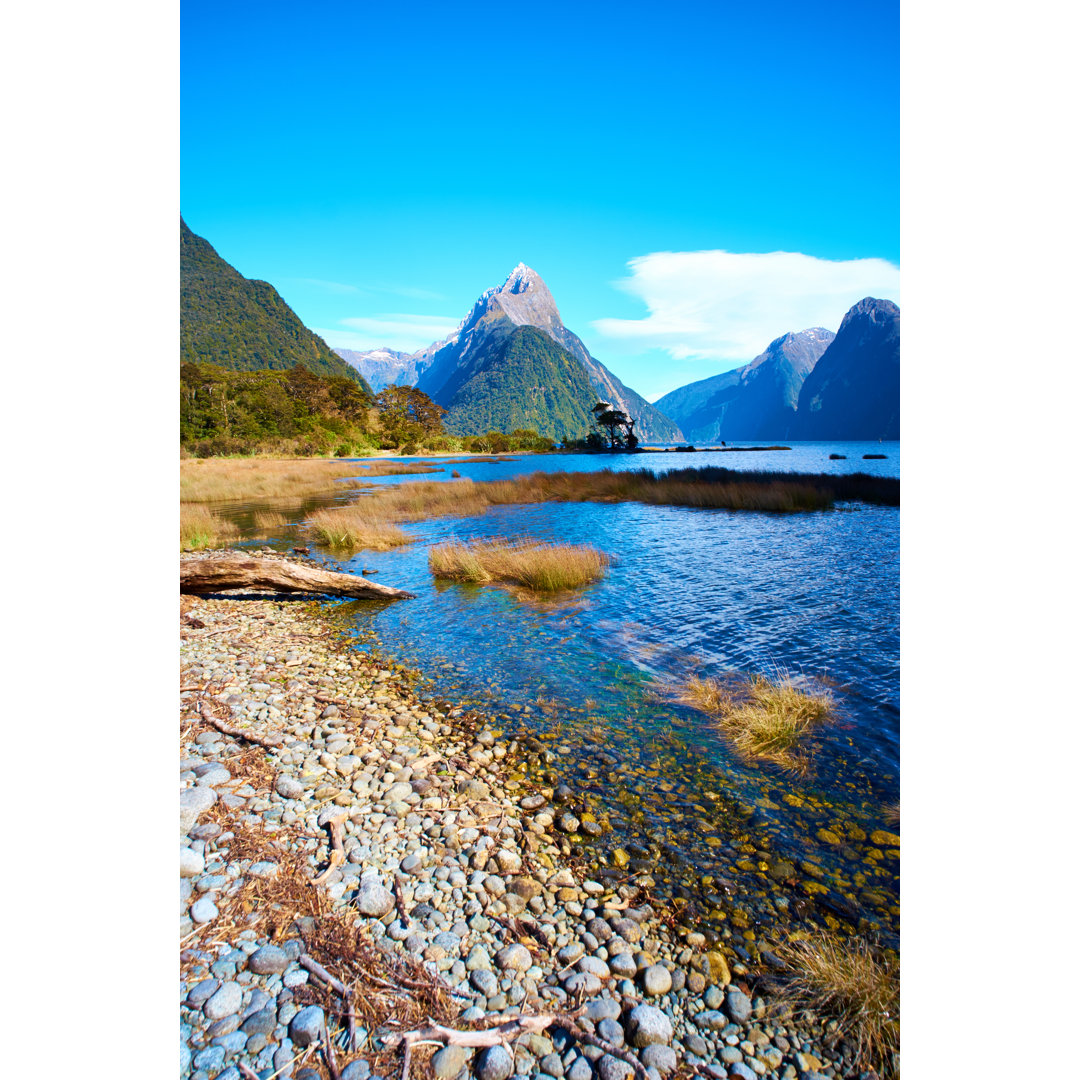 Milford Sound von Simonbradfield - Leinwandbild