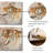 Tiger by Fiona Sheng - Wrapped Canvas Painting