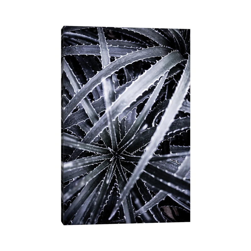 Cactus III by Mareike Böhmer - Wrapped Canvas Print, 66.04 cm H x 45.72 cm W x 3.175 cm D