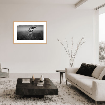 Nature Inspired Sunny Morning by  - Picture Frame Photograph on Paper