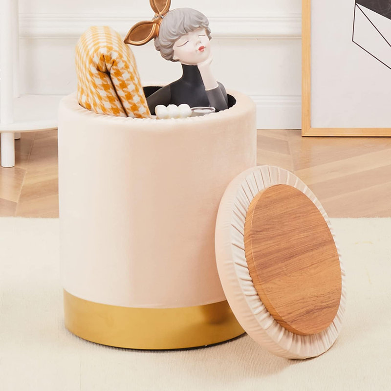 Repose-pieds de rangement rond en velours de 13,8 po Amay, Champagne