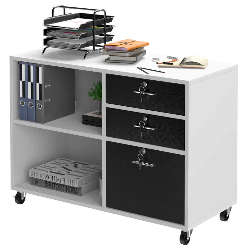 Alday 2 -Shelves Wooden Filing Cabinet, Black/White