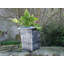Pot Planter-15753308