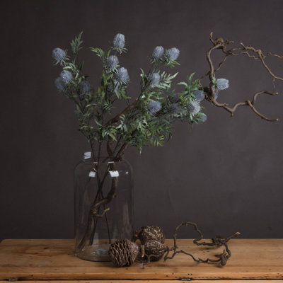 Anastasija Arrangement