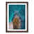 Walnut Framed