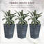 De 3 pots de fleurs hauts gris avec drainage, extérieur pour terrasse et bureau. Matériau, L 14,64 po x l 14,64 po H 24 po Patio. Polypropylène,