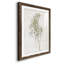 Farmhouse Pressed Flower I - peinture encadrée-1383879519-1383879488