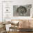 Aletra BW Scallop Seashell-108695678
