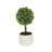 10'' Faux Boxwood Plant in Pot