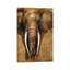 Gold Elephant by Patricia Pinto - Print on Canvas-799083892-799083891