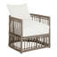 Newport Arm Chair with Cushions-63361294-84544965-93646470