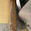 Customer photo 2 of 3
