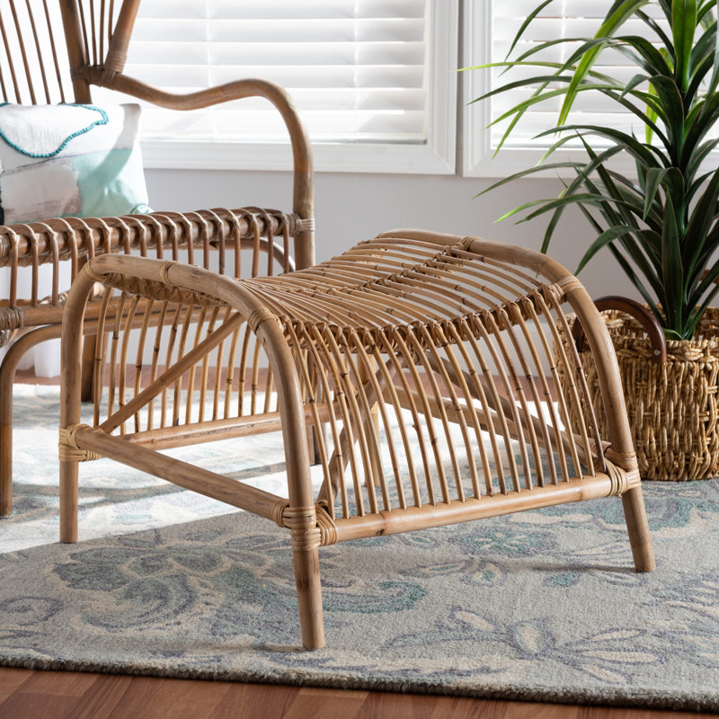 Bagryana 23.6" Wide Rattan Specialty Footstool Ottoman