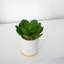 6 po Plante artificielle en pot blanc