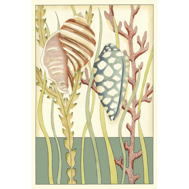 Shell Season II by Chariklia Zarris - Wrapped Canvas Print, 30cm H x 20cm W