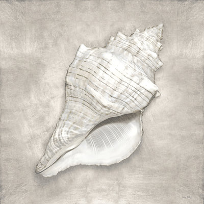 Pewter Seashells I by Amber Sterling