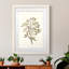 «Twig Study II», impression encadrée-1326240126-1326240116