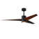 Ceiling Fan with LED Lights