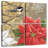 Harnek Winter Birds Chickadee I