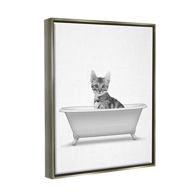 «Kitten In Bathroom Tub Animal» par Annalisa Latella, impression, H 21 po x l 17 po x P 1,7 po, Cadre flottant gris lustré