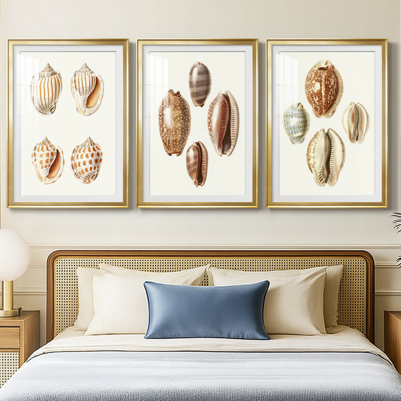 Lamarck Shells I - reproduction sur mesure encadrée de qualité supérieure - 3 pièces, H 21 po x l 30 po, Doré