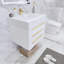 Ensemble de meuble-lavabo simple mural 24 po Glasgow-1275783077