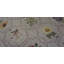 Tapis antique Antique