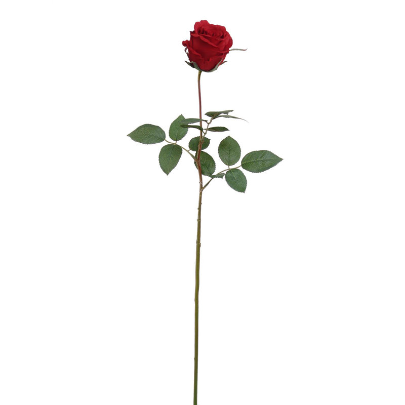 Tige de roses, Rouge, 2