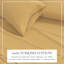 100% Cotton Cozy Solid Flannel Sheet Set-154836677-181163769