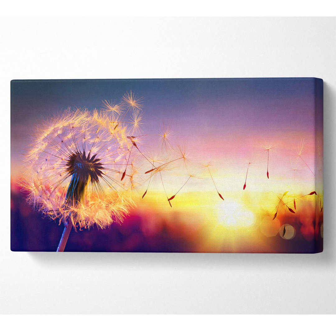 Whisper In The Sun Wide - Wrapped Canvas Kunstdrucke