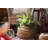 21.7'' Faux Fern Plant