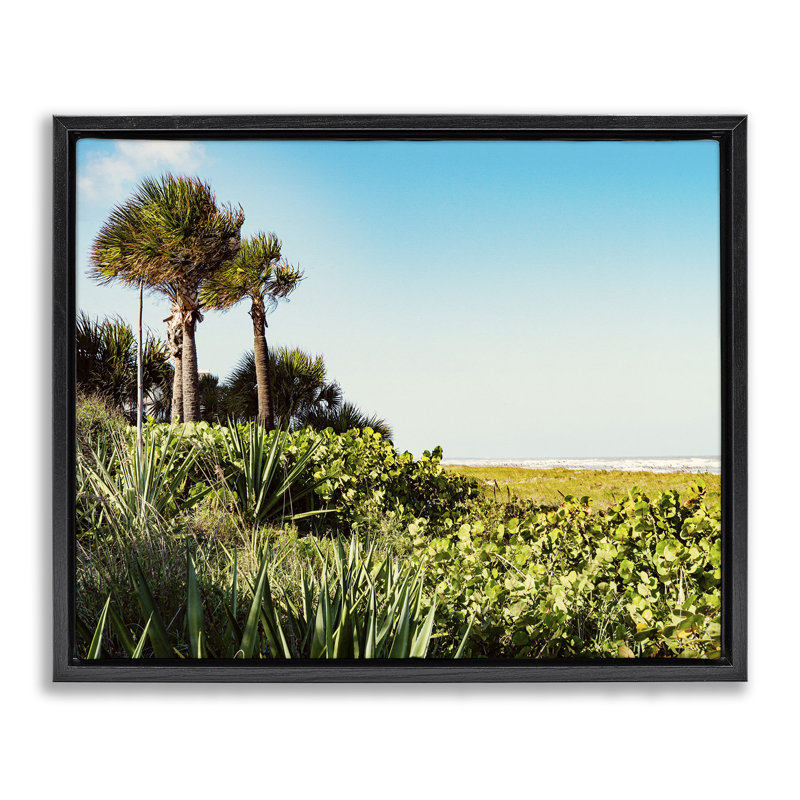 «Lush Tropical Shoreline» par Stede Bonnett, Cadre flottant noir de jais, H 17 po x l 21 po