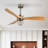 Lahrizi Adjustable Color Temperature 3 Height Ceiling Fan with Light Kit-1101524014