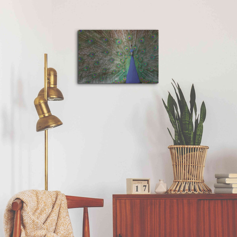 Paon sur métal par Lori Deiter, H 16 po x l 24 po
