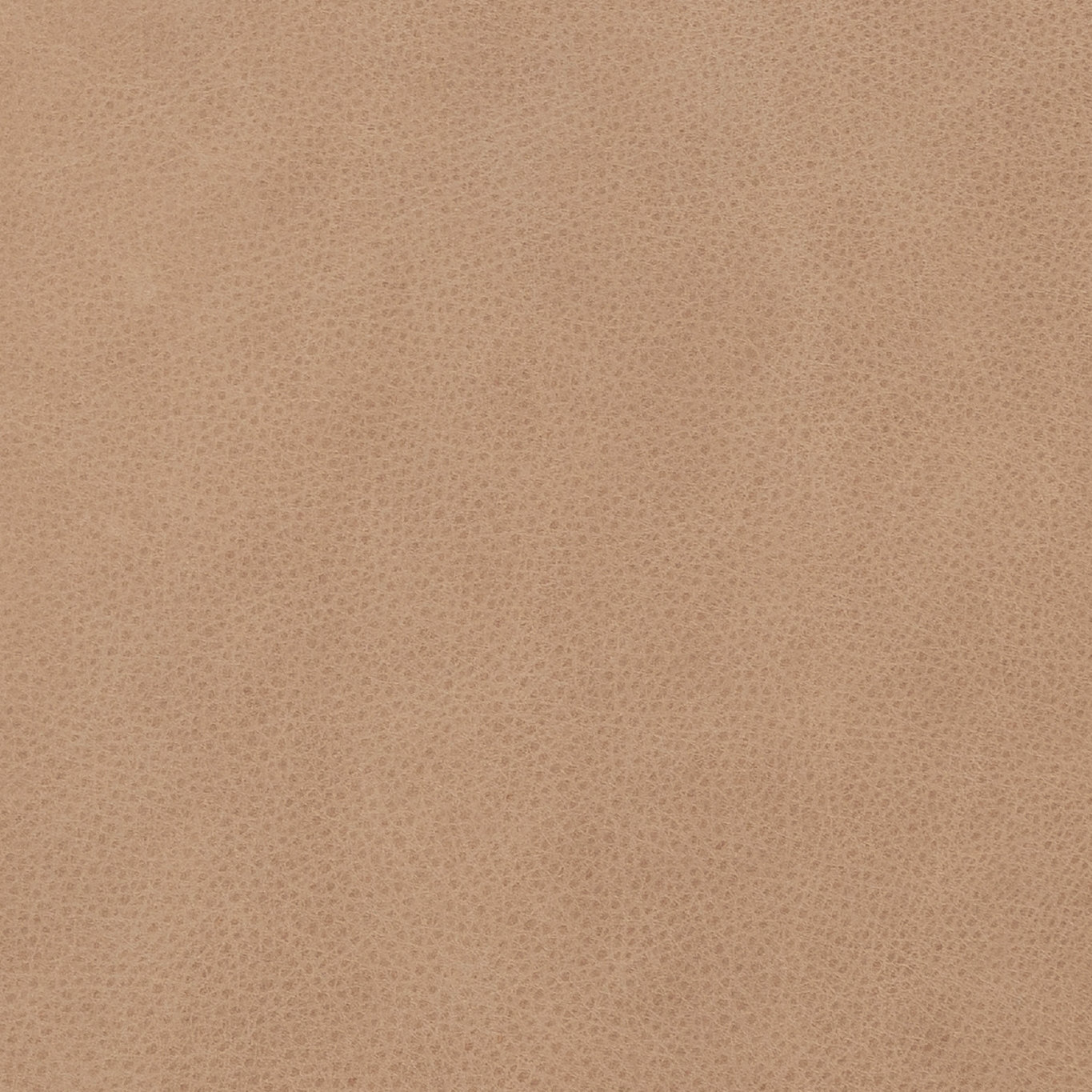 Brayson Upholstered Barrel Chair, Palermo Nude Genuine Leather