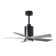 Patricia 42'' Ceiling Fan with LED Lights